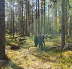 Årlig nyckelbiotopskalibrering Årlig nyckelbiotopskalibrering